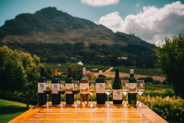 South African Wine Farms