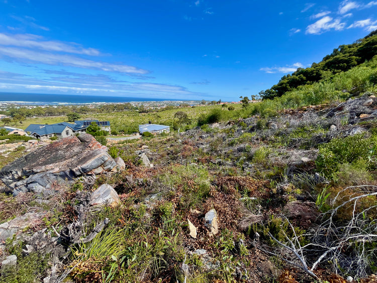 Property 2408679 - Image 1