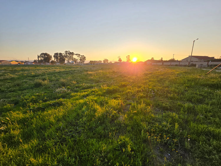 Property 302216 - Image 5