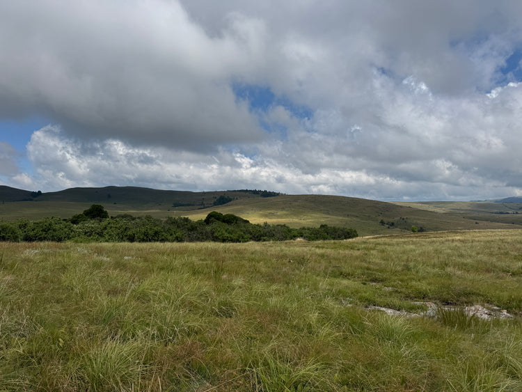 Property 3073171 - Image 1