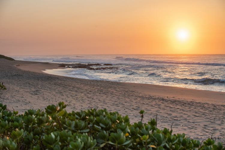 Property 3104561 - Image 7