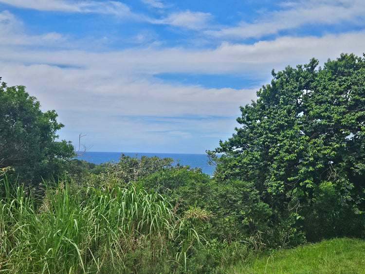 Property 3105950 - Image 1