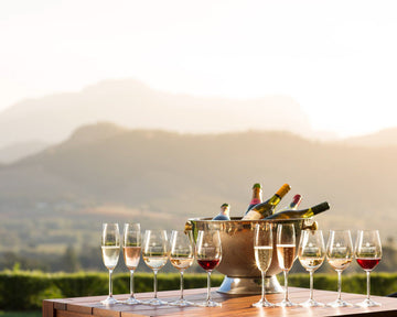 Why More Vineyards Are Coming to Market in South Africa