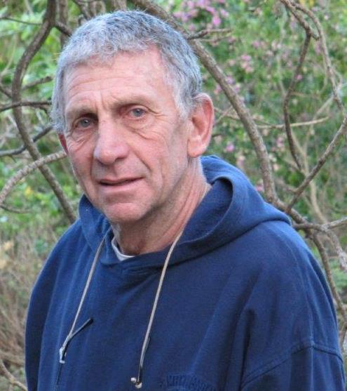 Roy Emanuel