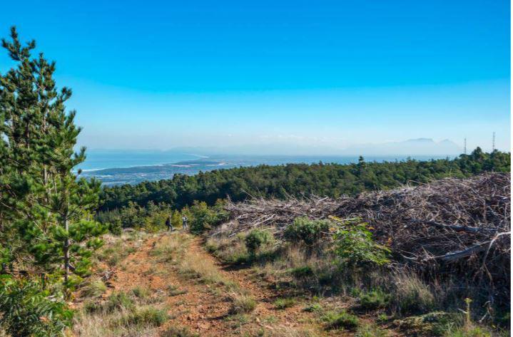 Property 1020797 - Image 4