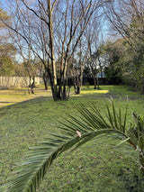 Property 1020804 - Image 5