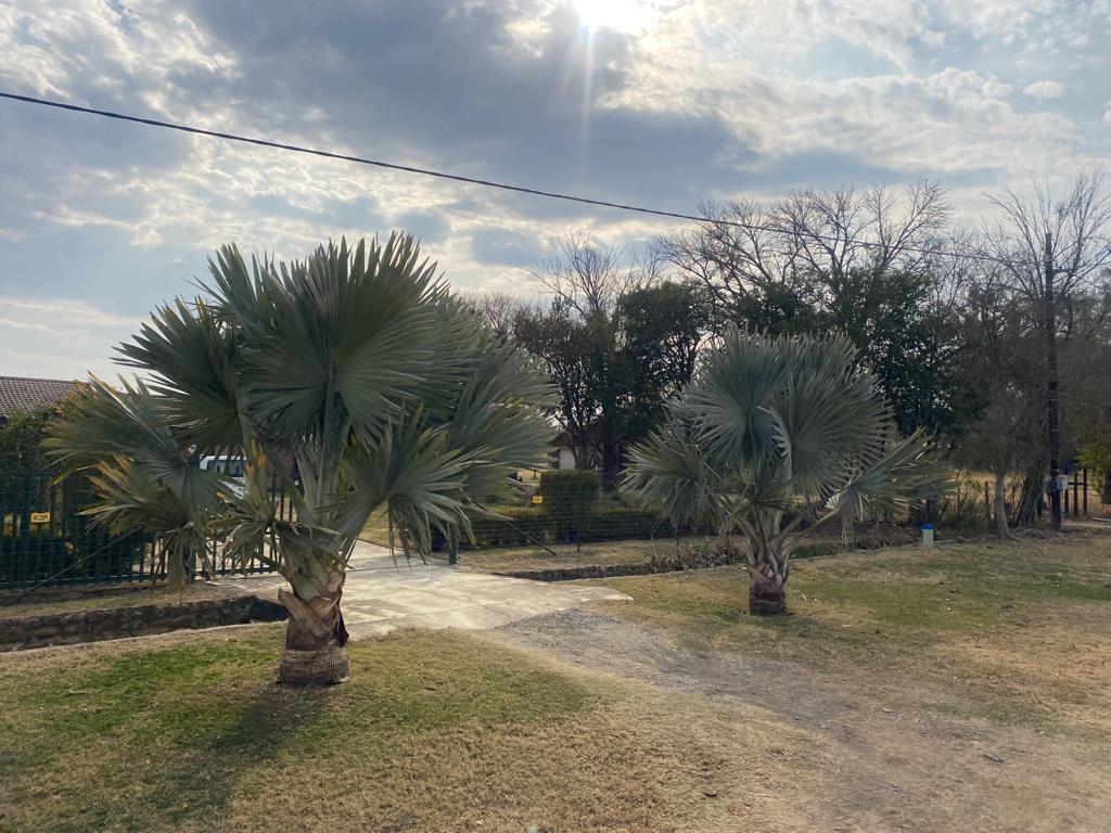 Property 1054183 - Image 13