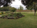 Property 1054183 - Image 16