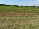 Property 1054183 - Image 7