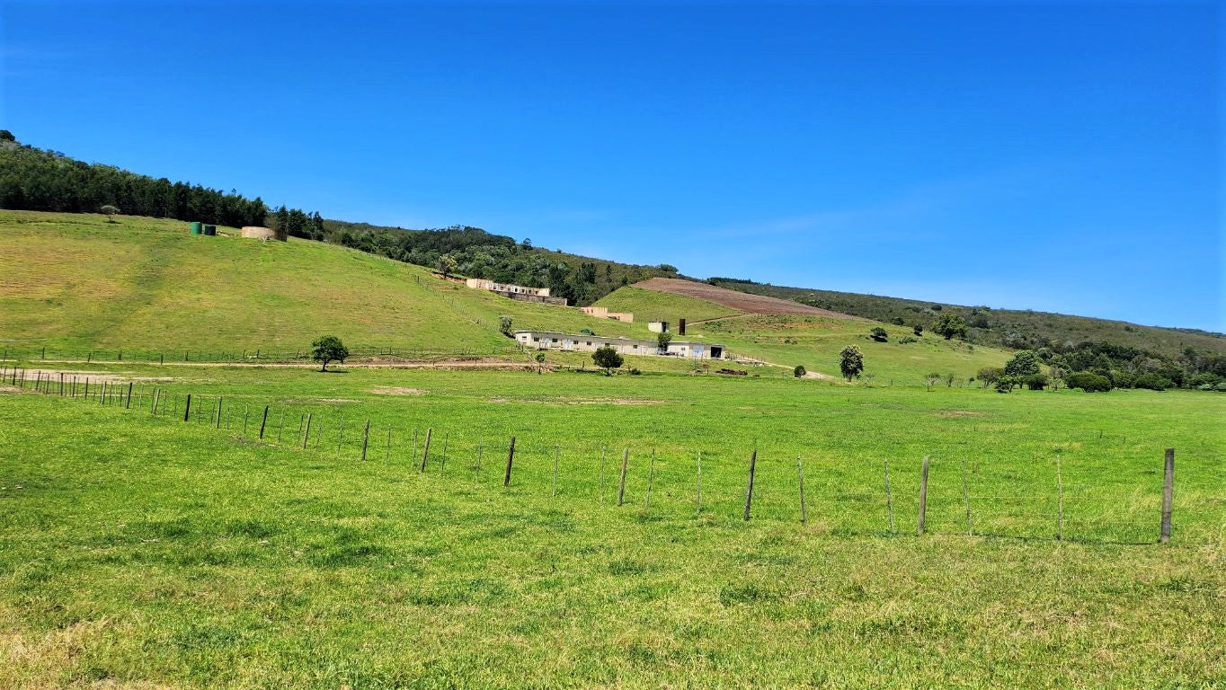 Property 1180715 - Image 10