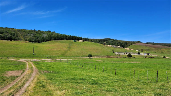 Property 1180715 - Image 11