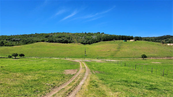 Property 1180715 - Image 12