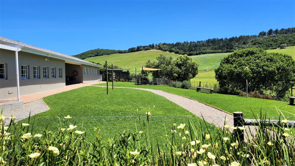 Property 1180715 - Image 15