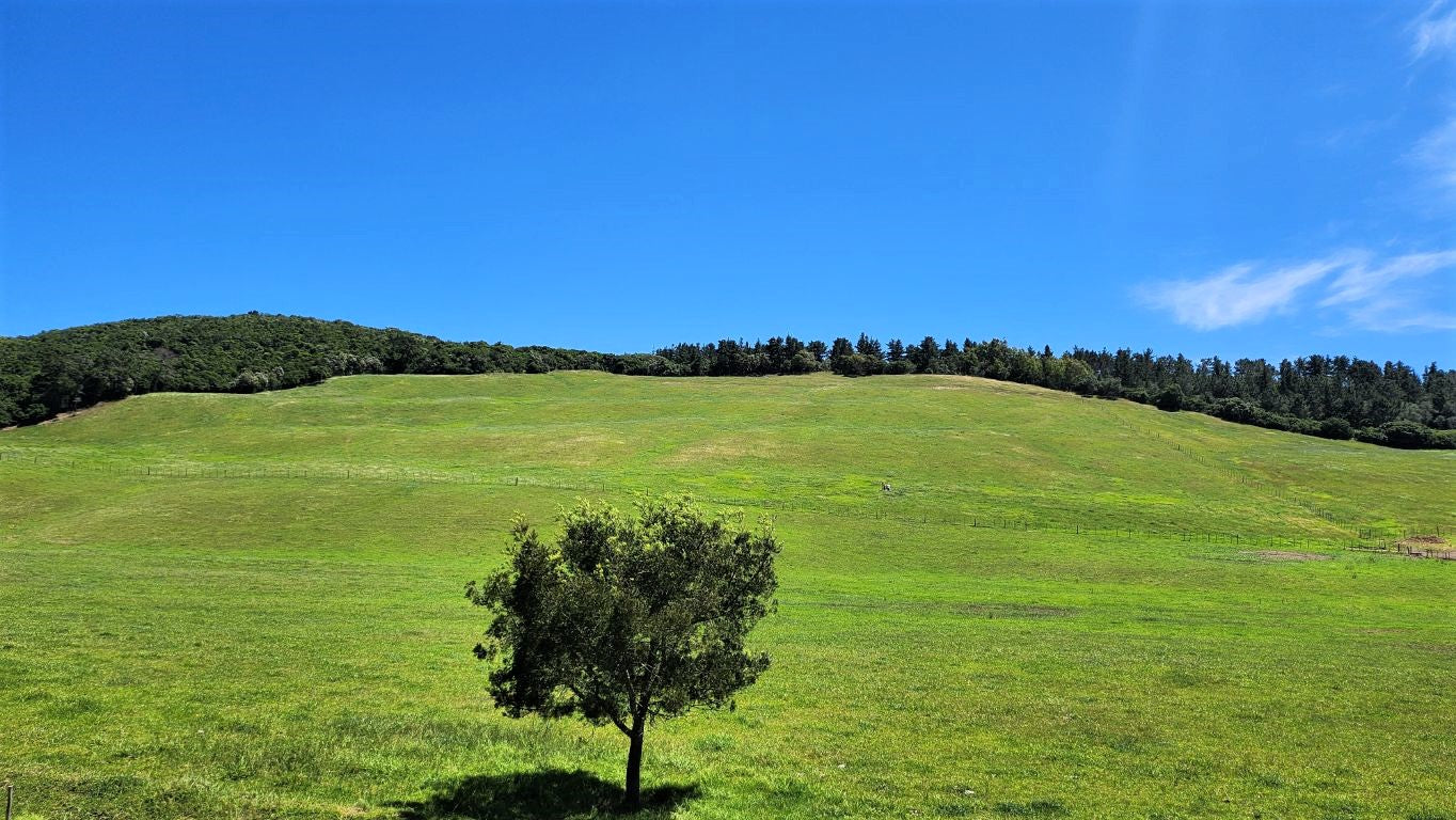 Property 1180715 - Image 2