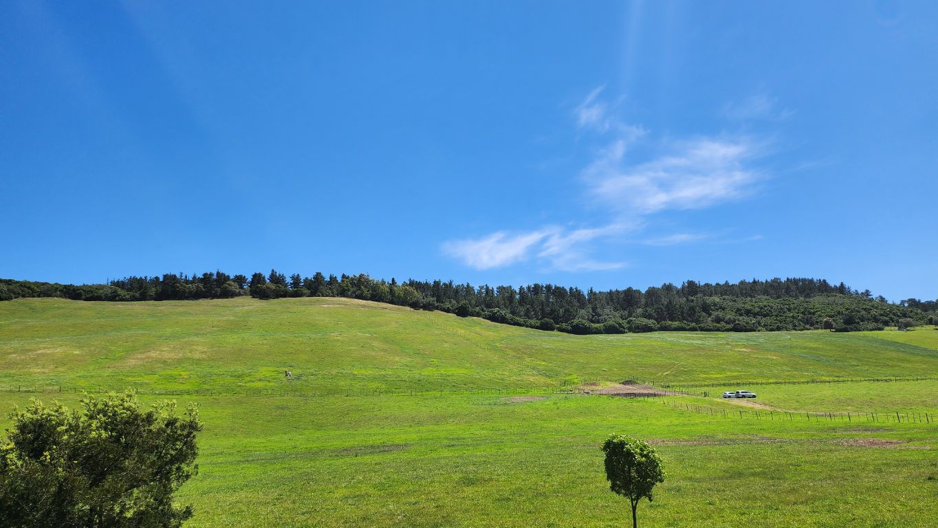 Property 1180715 - Image 3