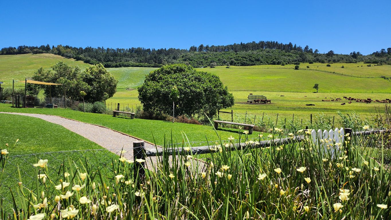 Property 1180715 - Image 30