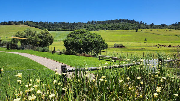 Property 1180715 - Image 30