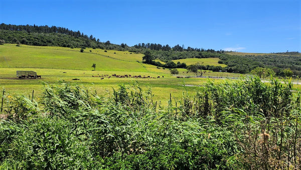 Property 1180715 - Image 31