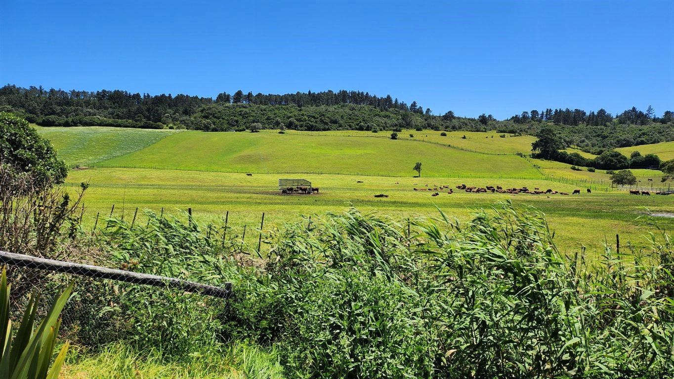 Property 1180715 - Image 33