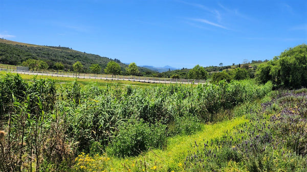 Property 1180715 - Image 34