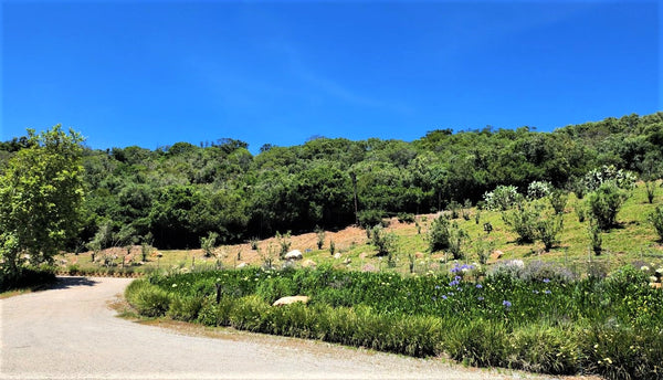 Property 1180715 - Image 37