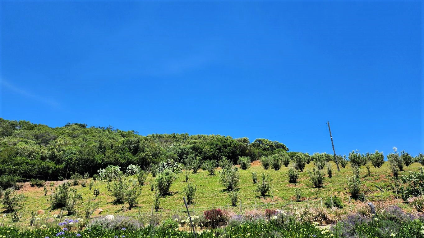 Property 1180715 - Image 38