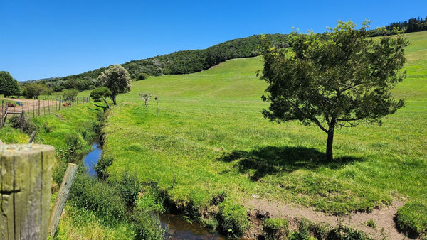 Property 1180715 - Image 5