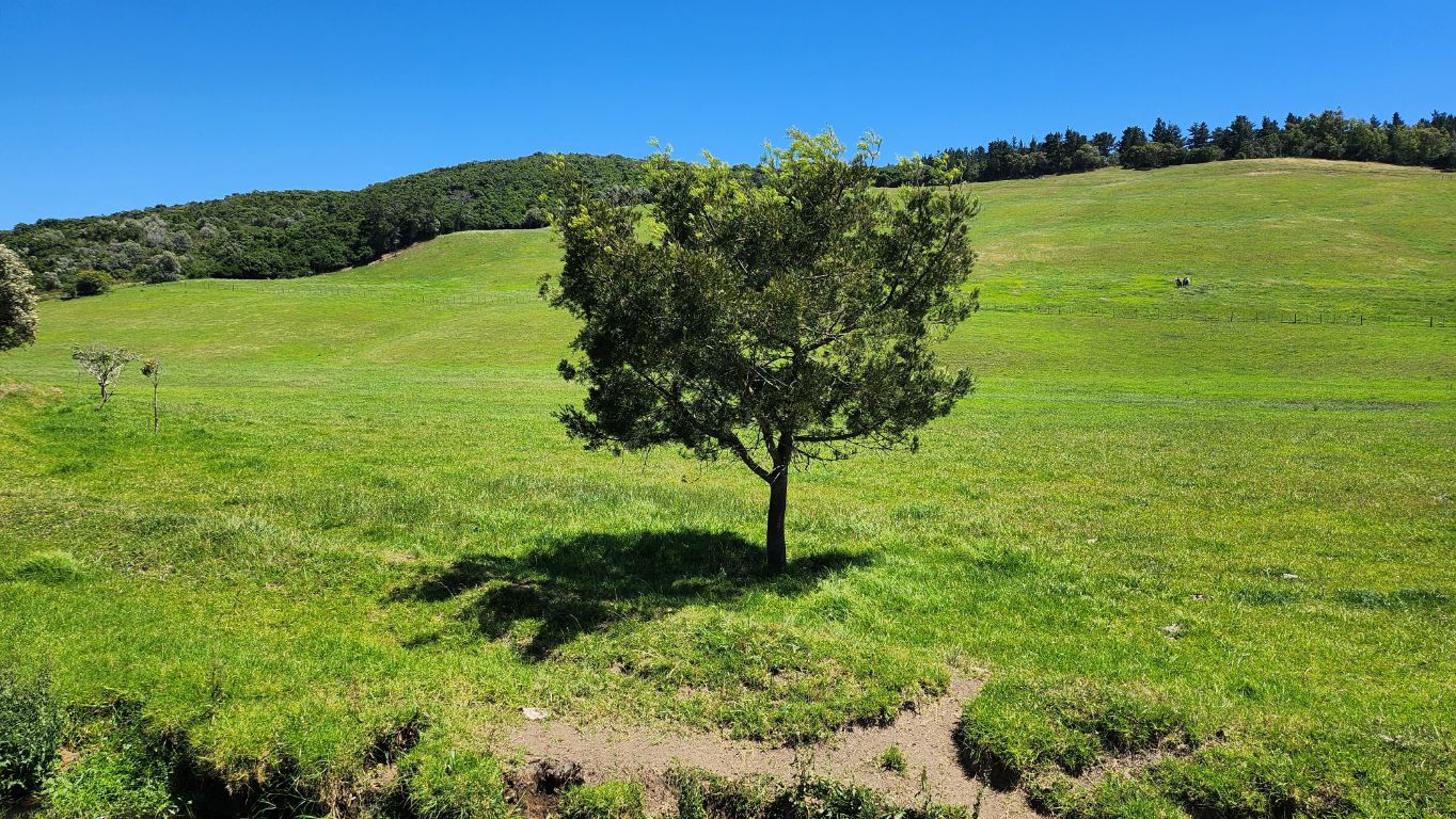 Property 1180715 - Image 6