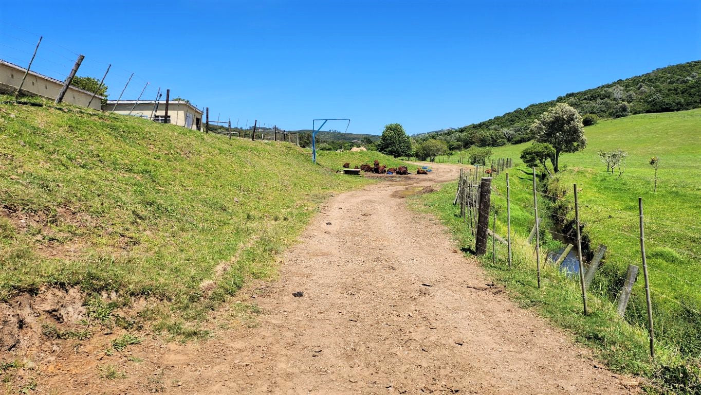 Property 1180715 - Image 9