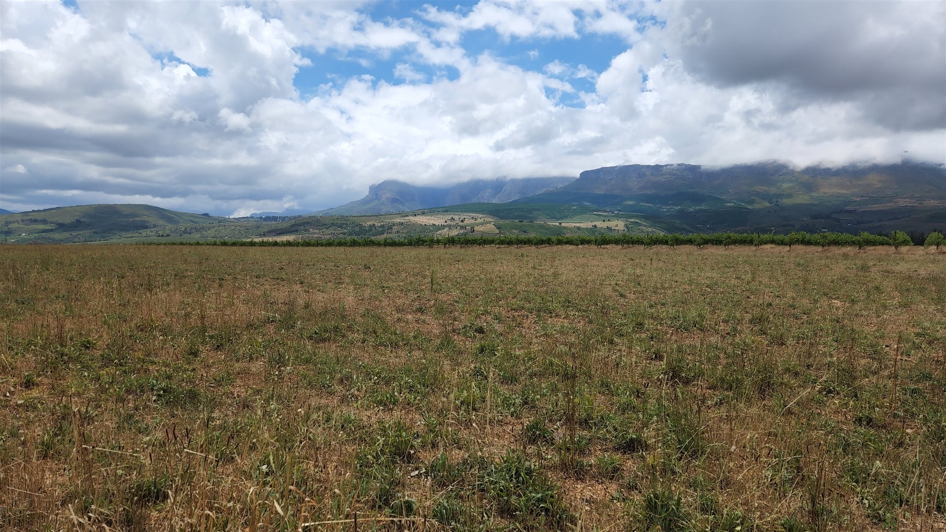 Property 119140 - Image 9