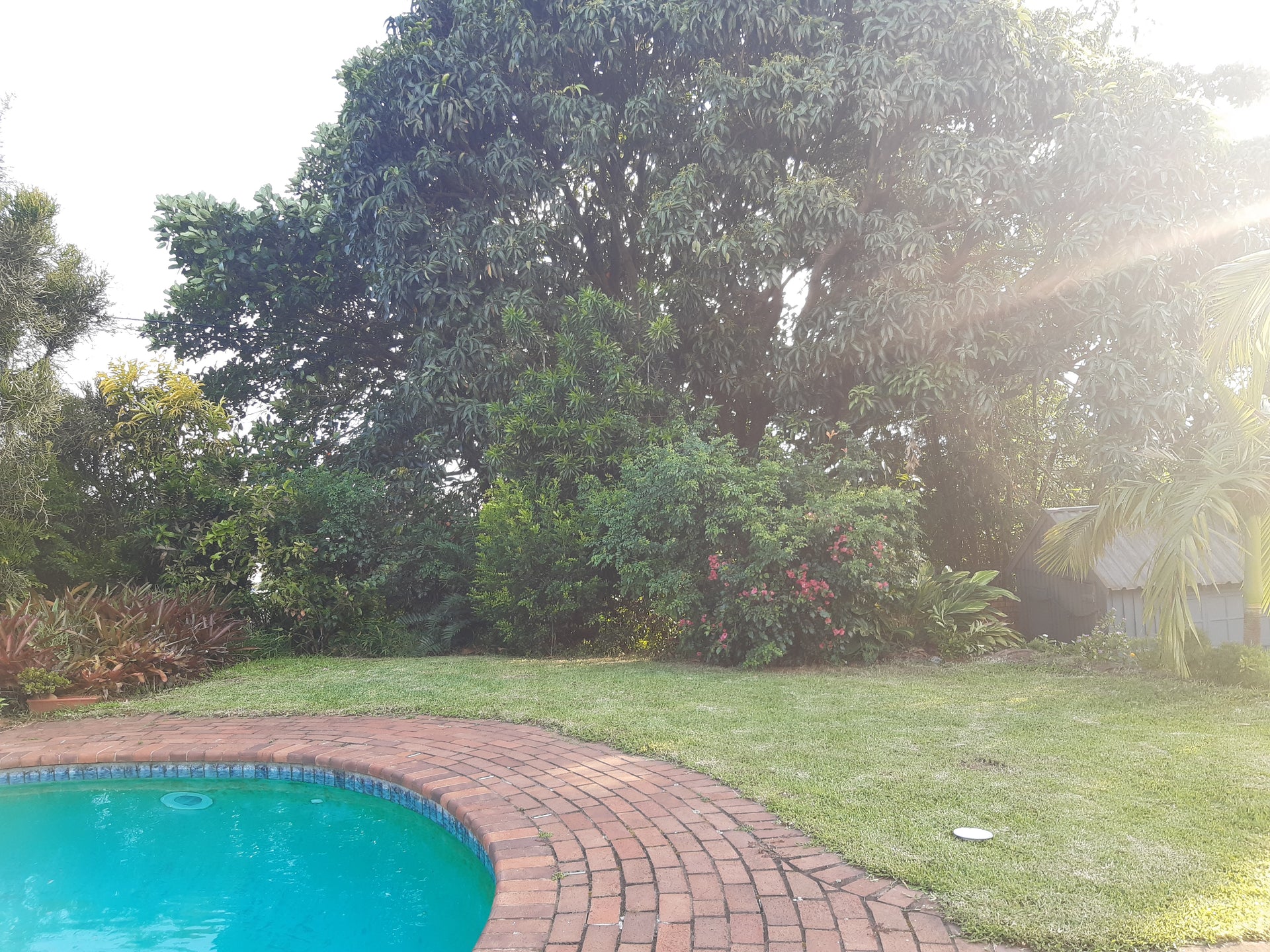 Property 1239978 - Image 47