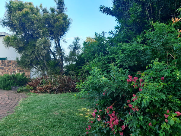 Property 1239978 - Image 48