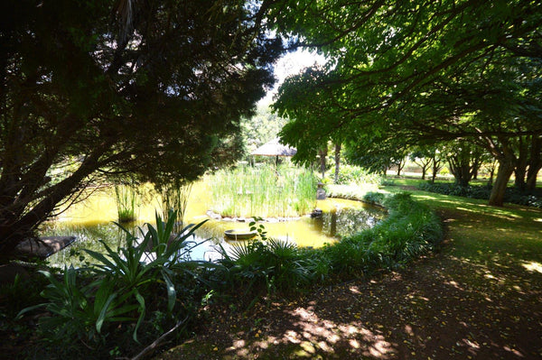 Property 1269270 - Image 2