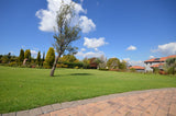 Property 1270235 - Image 7
