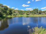 Property 1271330 - Image 43
