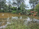 Property 1271330 - Image 52