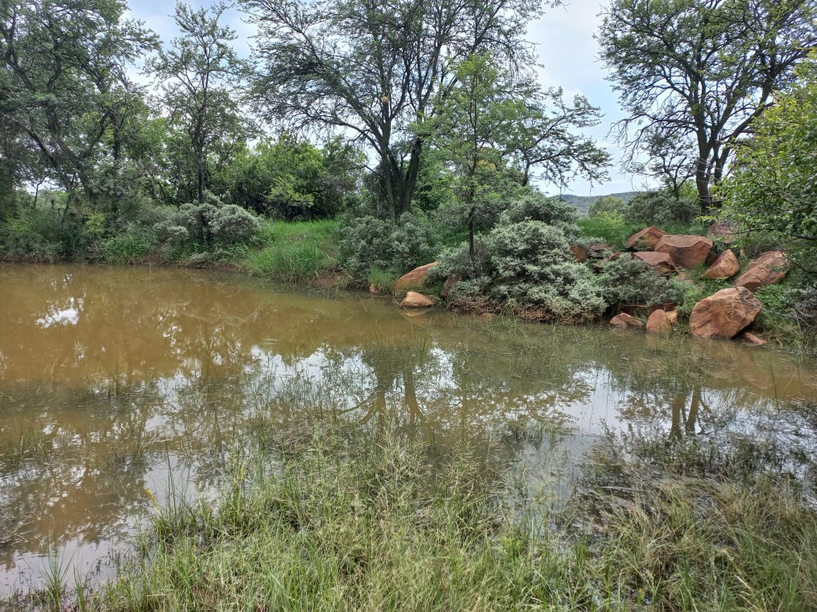 Property 1271330 - Image 52