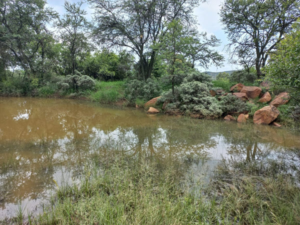 Property 1271330 - Image 52