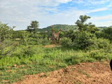 Property 1271330 - Image 56