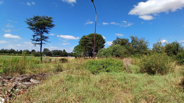 Property 1399090 - Image 13