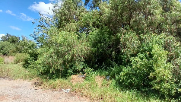 Property 1399090 - Image 15