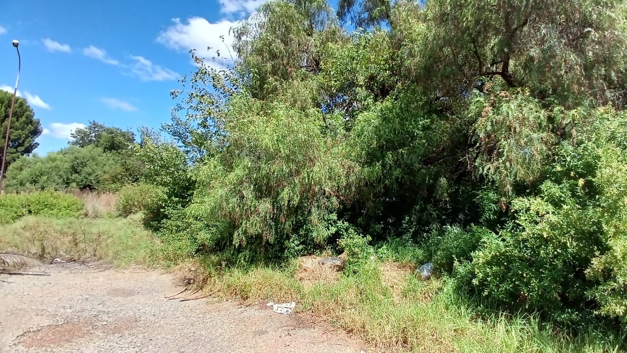 Property 1399090 - Image 16