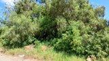 Property 1399090 - Image 17
