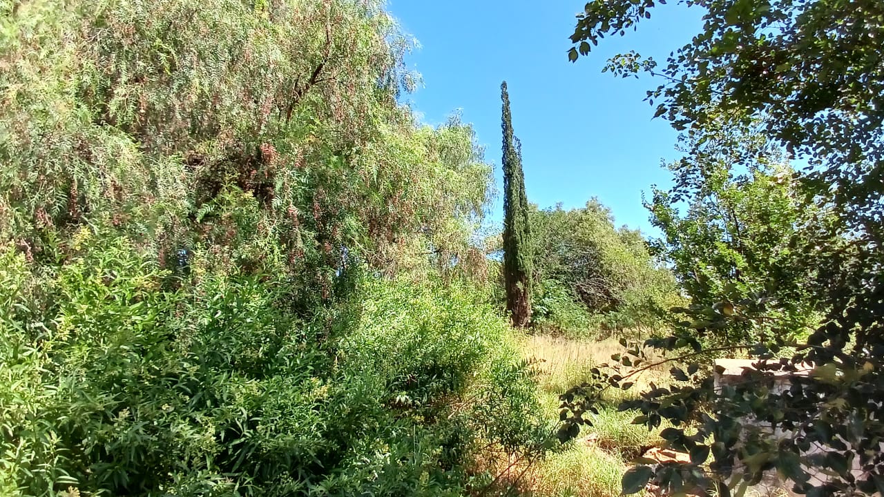 Property 1399090 - Image 21