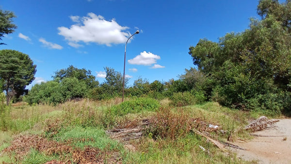 Property 1399090 - Image 22