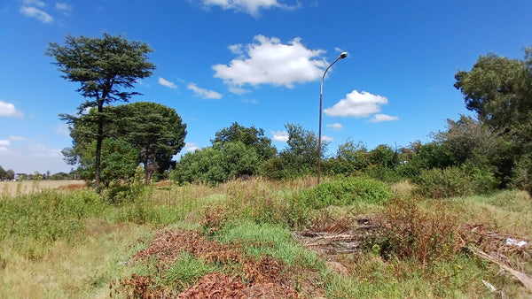 Property 1399090 - Image 26