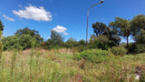 Property 1399090 - Image 29
