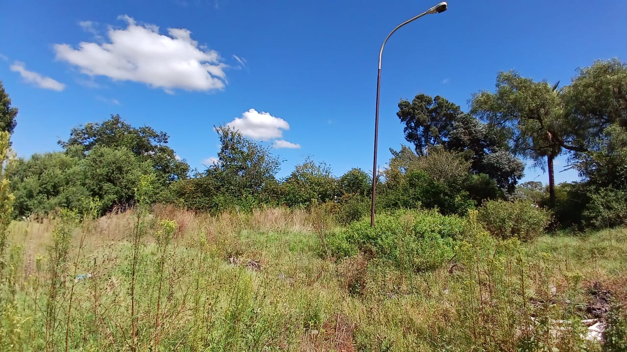 Property 1399090 - Image 29