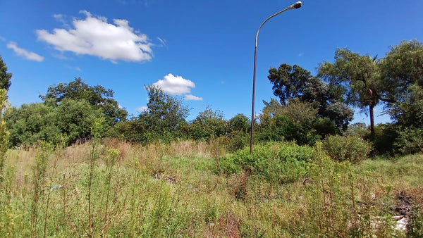 Property 1399090 - Image 29