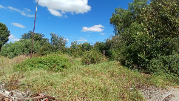 Property 1399090 - Image 3